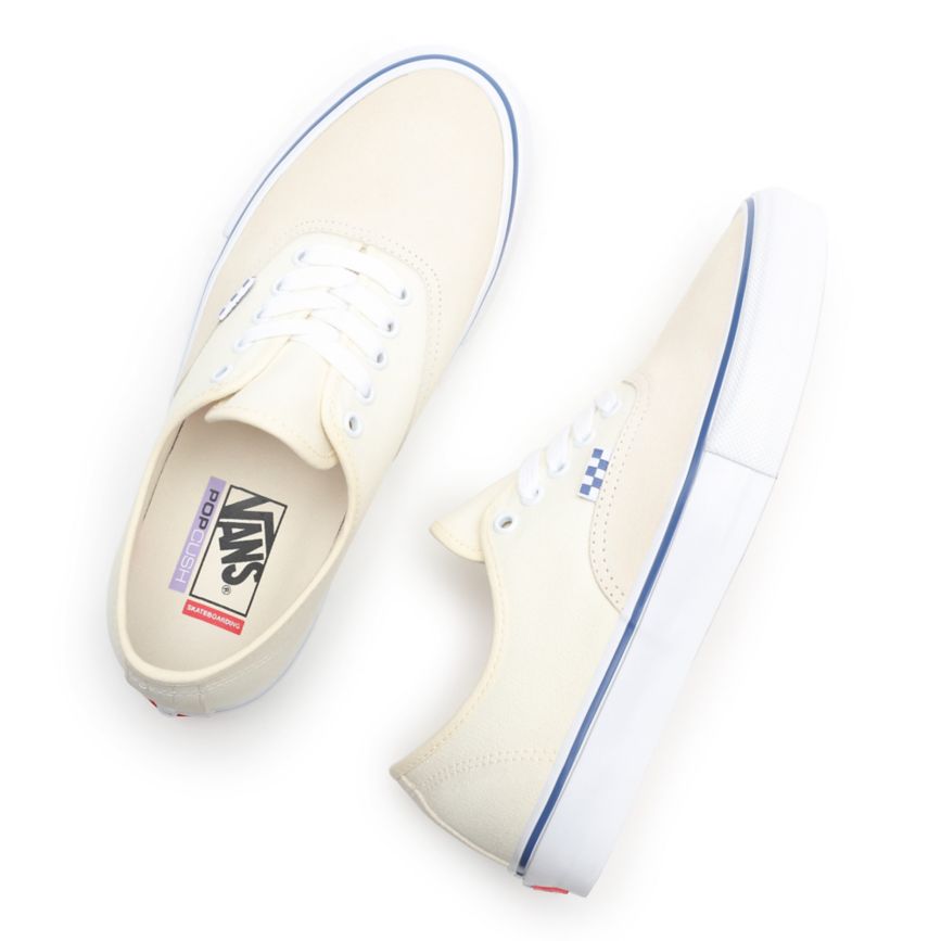 Vans Skate Authentic Blancas | VN698W1PW69