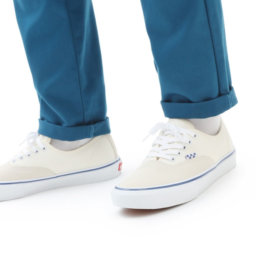 Vans Skate Authentic Blancas | VN698W1PW69