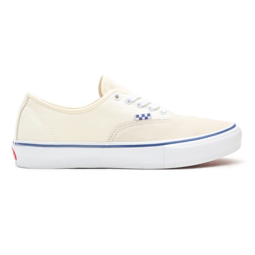Vans Skate Authentic Blancas | VN698W1PW69