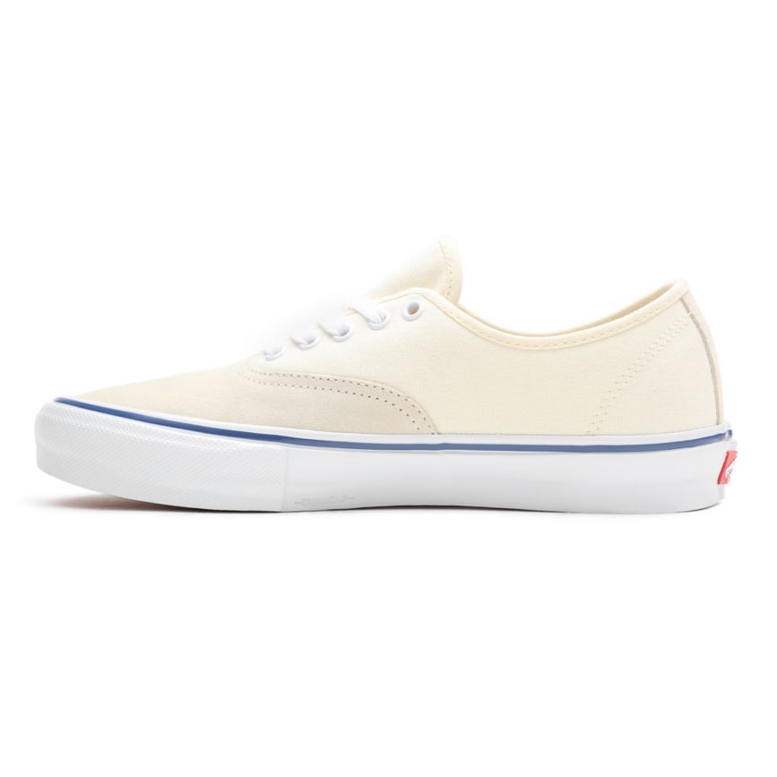 Vans Skate Authentic Blancas | VN698W1PW69
