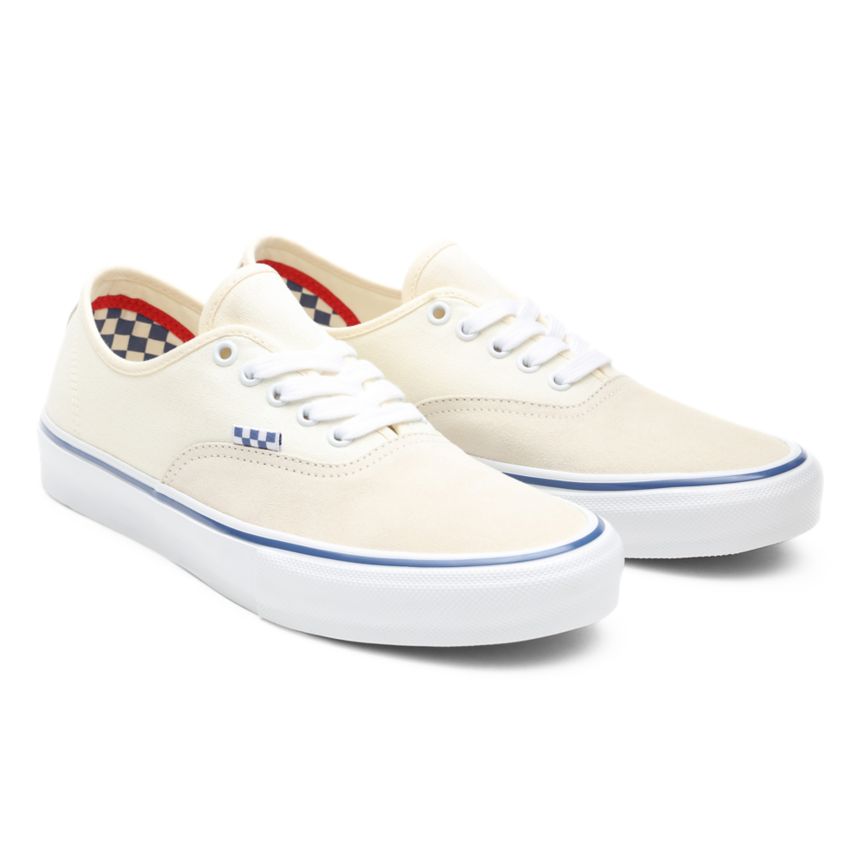 Vans Skate Authentic Blancas | VN698W1PW69